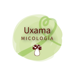 uxama micología