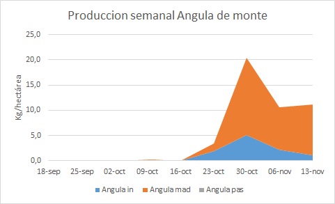 Biguezal3