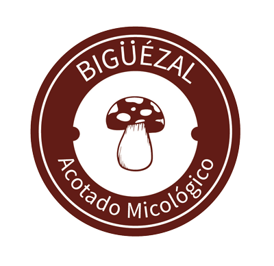 acotado micológico bigüenzal