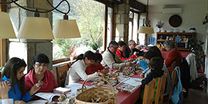 curso iniciación